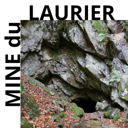 Mine du laurier