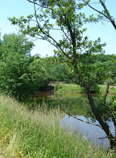 Le canal d'irrigation de Frahier 