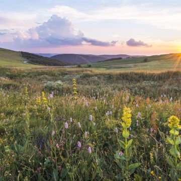 Le Parc Naturel Régional des Ballons des Vosges