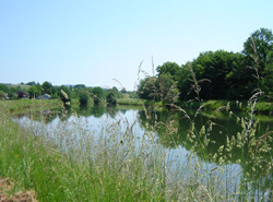 Le canal d'irrigation de Frahier 